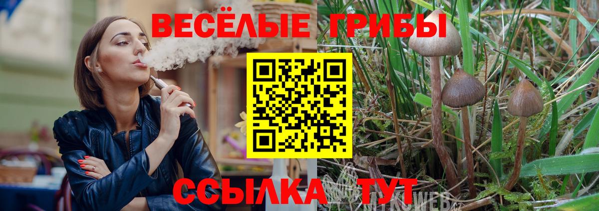 Галлюциногенные грибы Psilocybe  Вход с VPN  Гатчина  Галлюциногенные грибы мухоморы 
