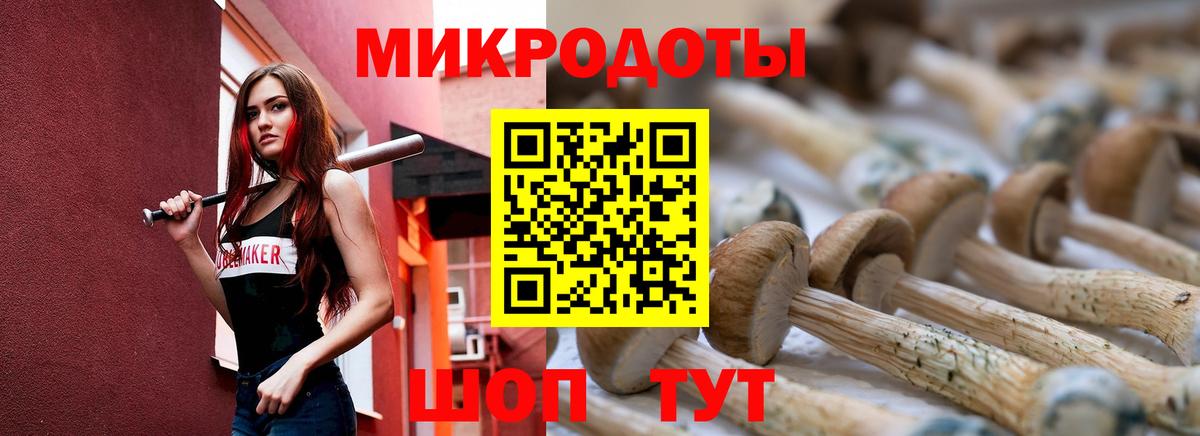 Галлюциногенные грибы ЛСД Гатчина